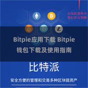 Bitpie应用下载 Bitpie钱包下载及使用指南