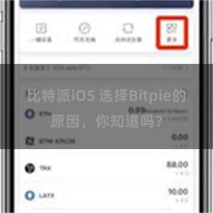 比特派iOS 选择Bitpie的原因，你知道吗？