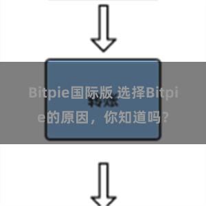 Bitpie国际版 选择Bitpie的原因，你知道吗？