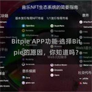 Bitpie APP功能 选择Bitpie的原因，你知道吗？