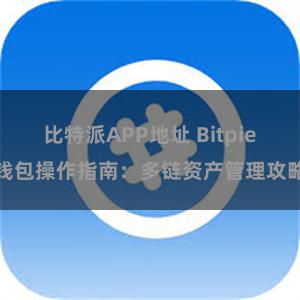 比特派APP地址 Bitpie钱包操作指南：多链资产管理攻略