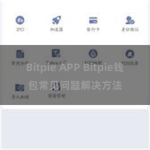 Bitpie APP Bitpie钱包常见问题解决方法