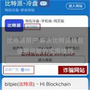 比特派用户 解决比特派钱包使用问题的实用技巧