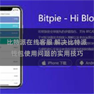 比特派在线客服 解决比特派钱包使用问题的实用技巧