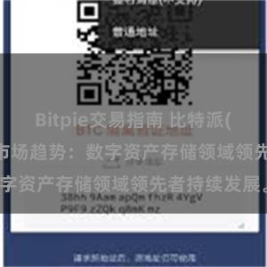 Bitpie交易指南 比特派(Bitpie)钱包市场趋势：数字资产存储领域领先者持续发展。