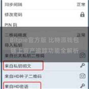 Bitpie官方版 比特派钱包链上资产追踪功能全解析
