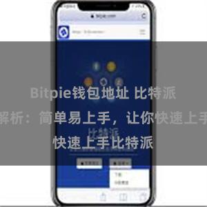 Bitpie钱包地址 比特派配置全解析：简单易上手，让你快速上手比特派