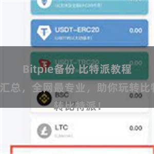 Bitpie备份 比特派教程地址汇总，全网最专业，助你玩转比特派！