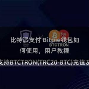 比特派支付 Bitpie钱包如何使用，用户教程