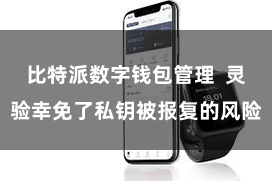 比特派数字钱包管理  灵验幸免了私钥被报复的风险