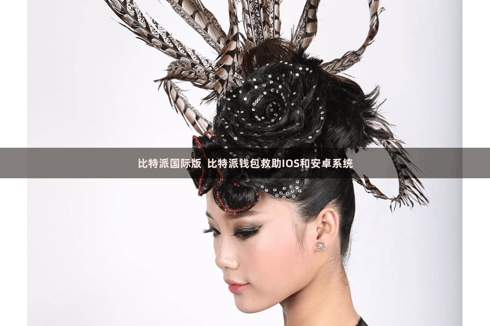 比特派国际版 比特派钱包救助IOS和安卓系统