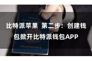 比特派苹果  第二步：创建钱包掀开比特派钱包APP